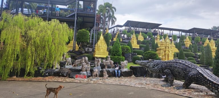 Sunrise Tours and travels