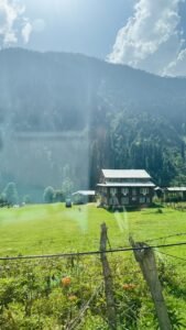 Sunrise Tours and travels