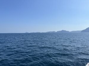 Sunrise Tours and travels