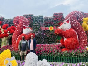 Tours and Travels