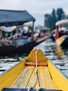 Tours and Travels