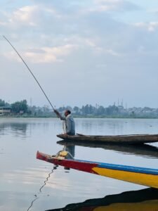 Sunrise Tours and travels