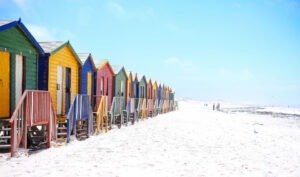 tours and travels